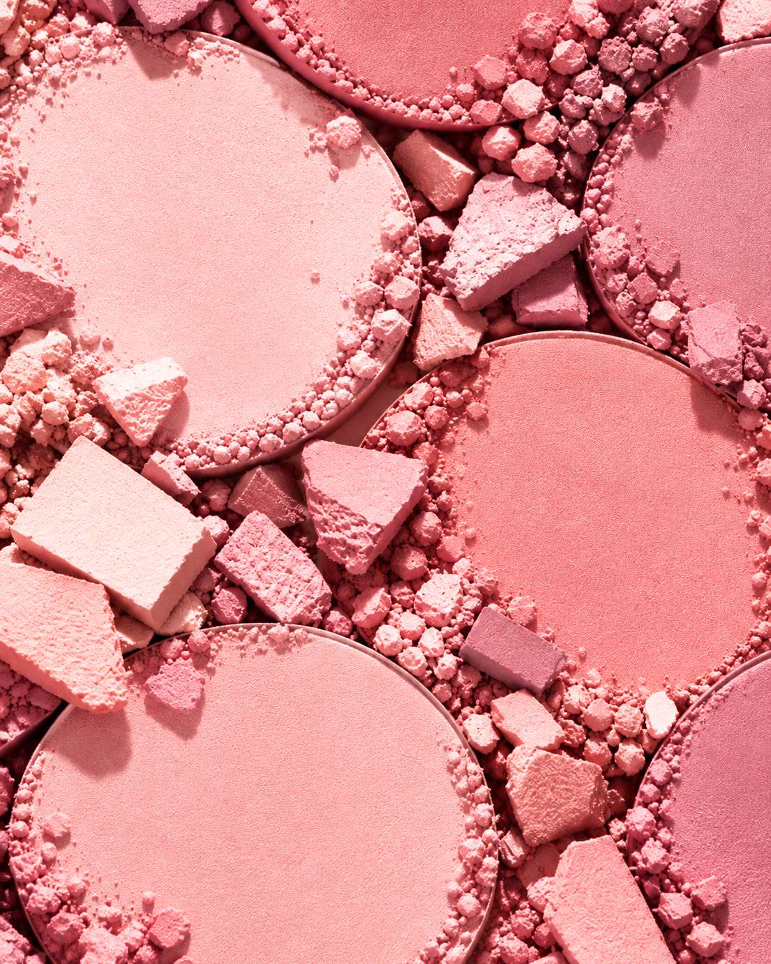 Editorial rosas — imagem 3